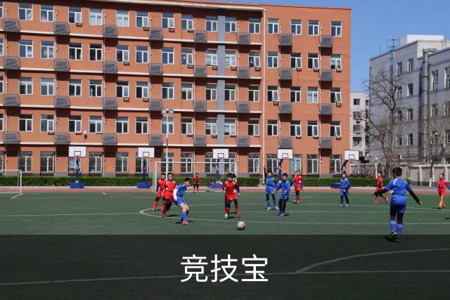 竞技宝公司简介